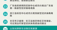 抗击疫情 这50个好消息你要知道!