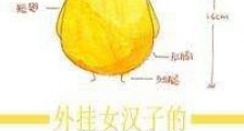 外挂女汉子的穿越手札