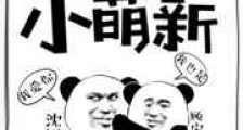 我真的是小萌新新版