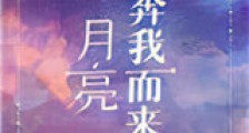 月亮奔我而来新版