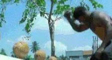 世界上最铁的手，印度男子1分钟徒手劈开124个椰子创世界纪录