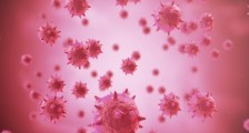 今日中美疫情新消息 24小时新冠病毒最新数据公布