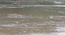 四川7人迎洪水冒险漂流2人失联 最新救援进展(现场图)