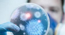 韩国新型冠状病毒感染人数  ​韩国新冠肺炎累计确诊2337例