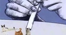 吸猫上瘾是真的吗 吸猫上瘾原理
