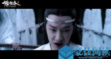 陈情令魏无羡知道戒鞭真相是第几集 蓝忘机什么时候受的戒鞭