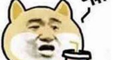 肥宅快乐水后半句是什么 肥宅快乐水下句怎么接