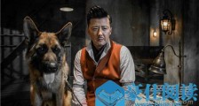 神探柯晨方竟成是谁演的 方竟成扮演者个人资料照片