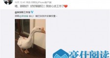 保剑锋被粉丝送鹅 保剑锋为什么被粉丝送鹅