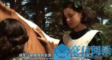 倔强式单身是什么意思 倔强式单身是什么梗