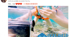 魏晨女友是谁 魏晨女友个人资料照片