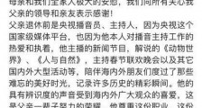 央视"新国脸"刚强,娶2婚北京卫视"一姐"春妮,传丁克17年终得爱子