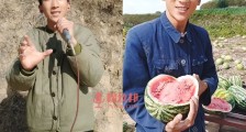快手宝军个人资料,甘肃农村娃宝军幕后是谁捧起来的,和李则则是怎么火的