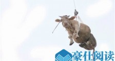 平原上的夏洛克是什么类型电影 平原上的夏洛克豆瓣影评