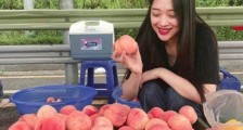 雪莉生前遗愿清单什么情况 雪莉生前遗愿清单写了什么