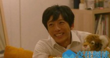 风平浪静的闲暇更新到多少集了 风平浪静的闲暇一周更新几集