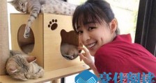 无双画家到底是谁 无双画家真实身份揭秘