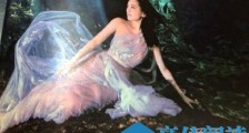 阿娇水下婚纱照是什么样子 阿娇水下婚纱照片