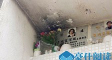 蓝洁瑛墓碑被熏黑 这到底是个什么梗?