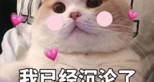 饭圈用语多担是什么意思 饭圈的泥塑什么意思