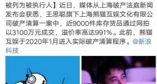 王思聪旗下熊猫互娱破产拍卖 3100万元成交