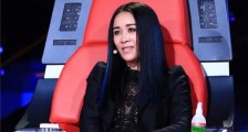 那英歌曲雾里看花 竟然是315打假歌