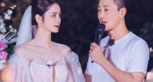 林峯张馨月为什么没有办婚礼 林峯真的不爱张馨月吗