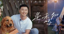 我们恋爱吧3阿霜喜欢老谢吗 阿霜和老谢约会完为何还写信给小龙
