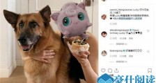 郑秀文为爱犬庆生怎么回事 郑秀文为许志安爱犬庆生始末