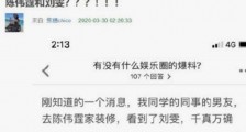 陈伟霆刘雯在一起了? 揭两人传恋情起因粉丝甩视频澄清