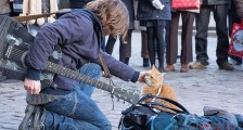 流浪猫鲍勃去世 去年年底才开拍续集流浪猫鲍勃怎么红的