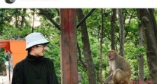 刘昊然和猴子对视 一波网友看图配字的神操作正赶来