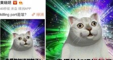 黄晓明问killingpart是啥 “可令怕”谁创造的意思揭秘