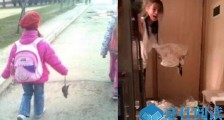 杨超越抓老鼠什么情况 暴露多年小秘密网友评论都好精彩【图】
