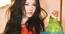 本兮公开致歉假死事件怎么回事 本兮微博说我没死真的吗
