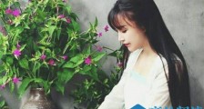 扒一扒李子柒 李子柒怎么什么都会有很假吗