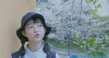 何蓝逗学历是什么 何蓝逗有没有上大学网传她初中学历