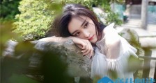 张馨予被怼怎么回事 张馨予触碰到底线她做了什么