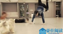 张艺兴倒立训狗 这画面让人尽羡慕狗狗了