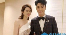 张丹峰老婆洪欣资料介绍 前夫竟是这个没戏可拍的男明星