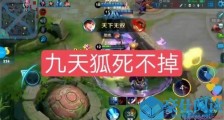 快手九天狐长什么样 快手九天狐真人照片疑被扒