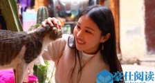 各位游客请注意小麻雀是谁 真名王婧宜竟是剑桥博士生
