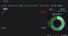 中国电信A股连续两日一字跌停,回应称若破发将采用“绿鞋机制”