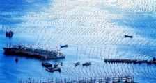 推进海上安全治理现代化,2020数字中国创新大赛助力智慧海洋建设