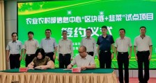山东潍坊:“区块链+韭菜”试点项目正式启动