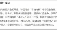 上海:到2025年“专精特新”小巨人企业增至300家