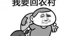 宁德时代斥巨资投建电池材料,荣耀与谷歌恢复合作