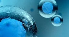 Nature:首个具有主动运输能力的“人造细胞”问世,未来或将助力体内药物输送