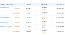坐拥500亿,55岁芯片首富大扫货