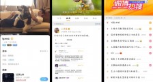王思聪、电竞战队、顶流网红集体代言,游戏陪练是下一个百亿市场?